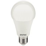 Entac LED Globe E27 8W NW 4000K