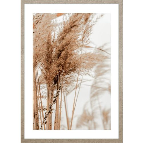 ARS LONGA Obraz trawy na wietrze No.1 149-Q-585  Külső méret 53x73 - ARS-15-41-201-5606  