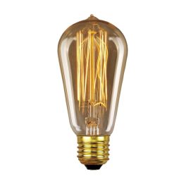Elstead E27 LED bulb (ELS-LP-FM30W-E27-EDS)