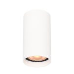 Italux Lopus mennyezeti lámpa IT-CLN-48930-S-WH