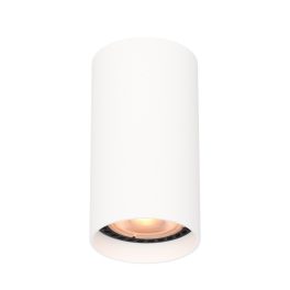 Italux Lopus mennyezeti lámpa IT-CLN-48930-S-WH