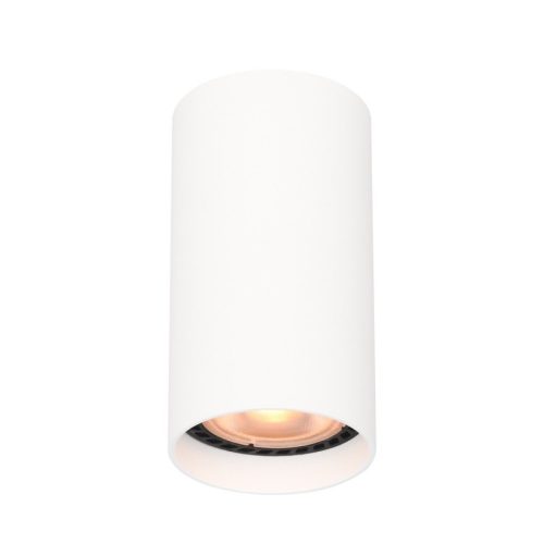 Italux Lopus mennyezeti lámpa IT-CLN-48930-S-WH