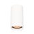 Italux Lopus mennyezeti lámpa IT-CLN-48930-S-WH