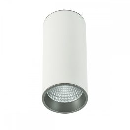 Italux Moldes Big WH/GR Ceiling 4000K white ceiling lamp