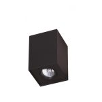 MaxLight C0071 LAMPA SUFITOWA BASIC SQUARE BLACK - MAX-C0071
