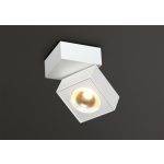 MaxLight C0106 LAMPA SUFITOWA ARTU - MAX-C0106