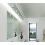 MaxLight C0142 LAMPA SUFITOWA PET ROUND NEW CZARNY - MAX-C0142