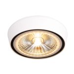 MaxLight C0207 LAMPA SUFITOWA CHARON BIAŁY IP65 - MAX-C0207