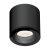 MaxLight C0216 LAMPA SUFITOWA FORM CZARNA GU10 IP65 - MAX-C0216
