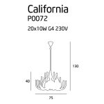 MAXLIGHT CALIFORNIA P0072