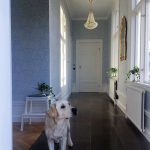 Markslöjd GRANSO Wisząca 2L 40cm Złoty Szczotkowany/MC - MS-106119