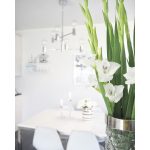 Markslöjd CAPITAL Wisząca 6L Chrom - MS-106419