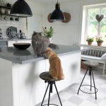 Markslöjd EAGLE Wisząca 1L 35cm Czarna - MS-106550