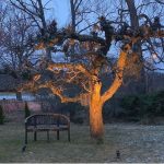 Markslöjd GARDEN 24 Spot 6W Czarny - MS-106930