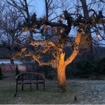 Markslöjd GARDEN 24 Spot 9W Czarny - MS-106931