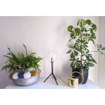 Markslöjd ANDREW Table 1L Black/Clear - MS-107749