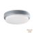 VIOKEF Outdoor PC Ceiling Lamp Silver Tinos - VIO-4171700
